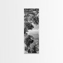 Mangrove Shoreline, Tree Reflections, Still Waters, Tranquil Escape, Black White Nature Framed Canvas Print, Zen Wall Art Entryway Decor