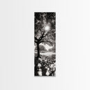 Sunlight Tree, Autumn Glow, Nature Shadowplay, Black White Forest Scene, Canvas Print, Fall Living Room Art, Boho Earthy Wall Decor