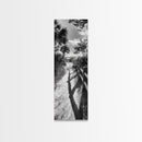 Beach Path, Palm Shadows, Coastal Walkway, Tropical Foliage, Canvas Print, Bathroom or Hallway Wall Art, Coastal Minimalist, Cozy Lodge Decor