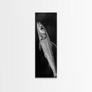 Silver Fish, Minimal Animal, Ocean Catch, Framed Canvas Print, Kitchen Wall Art, Nature Inspired Decor, Monochrome Sea Life