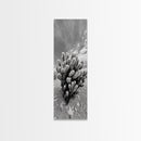 Desert Cactus, Nature Photography, Black White Art, Canvas Print, Boho Western Wall Decor, Modern Rustic Living Room Art, Nature Print