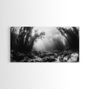 Kelp Forest Rays, Underwater Light, Black and White Ocean Scene, Framed Canvas Print, Nature Wall Art, Coastal Bathroom Decor