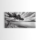 Tree Horizon, Curved Pine, Coastal Calm, Zen Scene, Canvas Print, Living Room Wall Art, Wabi Sabi Decor, Natural Minimal Aesthetic