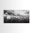 Cotton Grass Field, Stormy Sky Art, Botanical Monochrome, Minimalist Nature Print, Framed Canvas Print, Bedroom Wall Art, Nordic Style