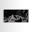 Jungle Snake Scene, Reptile Animal Art, Bold Black and White, Framed Canvas Print, Wildlife Decor, Man Cave or Study Wall Art