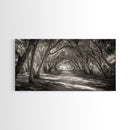 Tree Tunnel Trail, Light Dappled Path, Forest Archway Scene, Framed Canvas Print, Hallway Wall Art, Boho Natural Decor, Living Room Wall Art