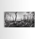 Burnt Forest, Moody Trees, Coastal Landscape, Nature Scene, Framed Canvas Print, Rustic Wall Art, Boho Decor, Fall Home Aesthetic