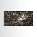 Enchanted Forest Light, Tree Shadows, Nature Landscape, Framed Canvas Print, Rustic Wall Art, Entryway Woodland Decor, Boho Forest Print