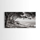 Ocean View, Coastal Trees, Cliffside Vista, Light and Shadows, Framed Canvas Print, landscape wall art, modern beach decor, boho living room