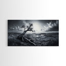 Windswept Tree, Coastal Landscape, Stormy Sky, Canvas Print, Desert Wall Art, Rustic Living Room Decor, Dramatic Minimalist Artwork