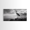 Heron Bird, Ocean Rock, Serene Wildlife, Canvas Print, Coastal Wall Art, Modern Farmhouse Decor, Minimalist Animal Scene