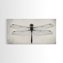 Dragonfly Sketch, Insect Art Print, Botanical Illustration, Minimalist Natural History, Framed Canvas Print, Office or Study Wall Art