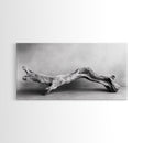 Driftwood Sculpture, Organic Modern Art, Natural Wood Texture, Neutral Decor, Framed Canvas Print, Bedroom or Living Room Wall Art