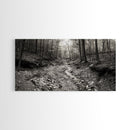 Forest Stream, Tranquil Woodland Path, Autumn Nature Photography, Framed Canvas Print, Rustic Cabin Decor, Living Room Wall Art