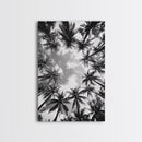 Palm Tree Sky, Tropical Canopy, Black and White Island View, Jungle Overhead Scene, Framed Canvas Print, Bathroom Wall Art, Beach Boho Decor