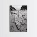 Fossil Rock Shore, Beach Minimalism, Sand Texture Art, Canvas Print, Coastal Wall Art, Natural History Decor, Abstract Earthy Art
