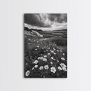 Meadow Bloom, Coastal Flowers, Stormy Sky, Framed Canvas Print, Spring Wall Art, Nature Photography, Kitchen Botanical Decor