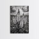 Lupine Flower Field, Bold Floral, Spring Nature Scene, Framed Canvas Print, Boho Living Room Art, Botanical Wall Decor
