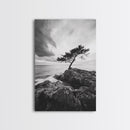 Lone Tree, Cliffside Ocean, Windy Coast Art, Framed Canvas Print, Bedroom Wall Art, Modern Nature Photography, Coastal Minimalist Decor