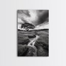 Solitary Tree, Storm Sky, Tranquil Meadow, Nature Landscape, Framed Canvas Print, Rustic Decor, Fall Wall Art, Bedroom Minimalist Art
