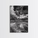 Tropical Palm, Reflected Sky, Nature Tranquility, Canvas Print, boho wall decor, bathroom art, tropical reflection photography