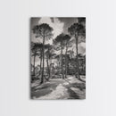 Forest Shadows, Tall Pines, Natural Light, Framed Canvas Print, woodland landscape, rustic cabin decor, autumn forest art
