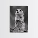 Prairie Dog, Wildlife Watch, Nature Moment, Framed Canvas Print, Whimsical Animal Wall Art, Nursery Decor, Cute Forest Creature