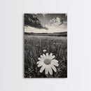 Wildflower Field, Daisy Bloom, Summer Meadow, Framed Canvas Print, Boho Botanical Wall Art, Bedroom Decor, Earthy Nature Photography
