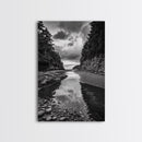 Tide Pool, Forest Reflection, Coastal Calm, Framed Canvas Print, Black White Nature Art, Bathroom or Bedroom Decor, Tranquil Scene