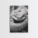 Rattlesnake Face, Coiled Closeup, Venomous Gaze, Canvas Print, Macro Wildlife Wall Art, Reptile Decor, Intense Black White Photography
