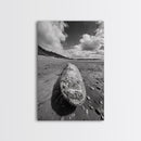 Whale Bone, Coastal Find, Ocean Relic, Framed Canvas Print, Seaside Wall Art, Beach House Decor, Nautical Minimalist Photography