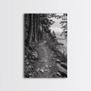 Forest Pathway Trail, Wilderness Escape, Rustic Nature, Black and White Framed Canvas Print, Cozy Cabin or Entryway Wall Art