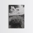 Desert Sage, Cloud Sky, Nature Wall Decor, Framed Canvas Print, Minimalist Art, Boho Style, Neutral Tones, Entryway Botanical Print