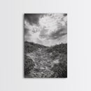 Sandy Trail, Ocean Path, Windy Grass, Moody Sky, Framed Canvas Print, coastal nature photography, hallway decor, rustic neutral art