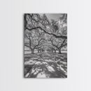 Oak Tree Tunnel, Southern Charm, Shaded Pathway, Timeless Trees Framed Canvas Print, farmhouse wall decor, hallway landscape art