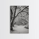 Snowfall Trees, Winter Forest, Nature Pathway, Canvas Print, Holiday Season Decor, Cozy Living Room or Cabin Wall Art