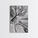 Coastal Snow, Barren Tree, Frozen Shoreline, Canvas Print, Serene Winter Decor, Entryway or Hallway Minimalist Wall Art
