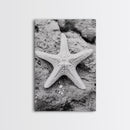Starfish Closeup, Coastal Shell, Beach Texture, Framed Canvas Print, Bathroom or Ocean Nursery Decor, Minimal Beach Art