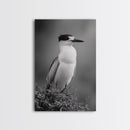 Coastal Bird Portrait, Black White Art, Nature Print, Minimalist Style, Living Room Wall Decor, Framed Canvas Print, Beach House Art