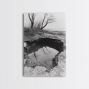 Reflected Trees Pool, Black White Nature, Moody Autumn Wall Art, Rustic Minimalist Style, Framed Canvas Print, Entryway Home Decor