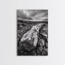 Rocky Terrain Driftwood, Weathered Wood Scene, Outdoor Adventure Art, Modern Rustic Decor, Framed Canvas Print, Earthy Tones Photography