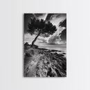 Wind Bent Tree, Coastal Cliff, Solitary Beauty, Canvas Print, Nature Photography Wall Art, Minimalist Earthy Decor, Moody Landscape