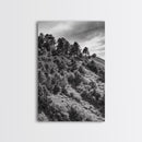 Hillside Forest, Peaceful Pines, Mountain Light, Framed Canvas Print, Nature Wall Art, Cabin Decor, Woodland Landscape Scene