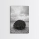 Windswept Beach Nest, Natural Sculpture, Driftwood Ball, Solitude Scene, Canvas Print, Minimalist Wall Art, Neutral Bedroom Decor
