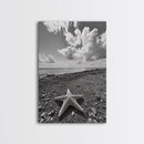 Starfish on Shore, Rocky Beach Scene, Cloudy Sky Horizon, Ocean Calm, Framed Canvas Print, Coastal Art, Bathroom Wall Decor