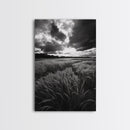 Golden Grass Field, Dramatic Sunset, Autumn Skies, Nature Movement, Framed Canvas Print, Fall Landscape Art, Living Room Decor