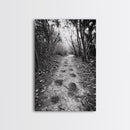 Forest Trail Path, Woodland Escape, Nature Walk, Adventure Art, Framed Canvas Print, Office Wall Decor, Autumn Vibes, Rustic Nature Style