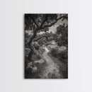Forest Path, Twisting Trees, Nature Trail Scene, Framed Canvas Print, Earthy Wall Art, Boho Woodland Decor, Entryway or Hallway Accent