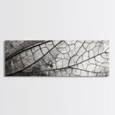 Macro Insect Wing, Abstract Nature Texture, Modern Neutral Wall Decor, Framed Canvas Print, Office Art, Monochrome Macro Photography