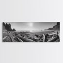 Coastal Driftwood Scene, Rugged Ocean Beach, Moody Nature Landscape, Framed Canvas Print, Rustic Wall Decor, Fall Coastal Photography
